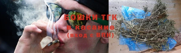 ГАЛЛЮЦИНОГЕННЫЕ ГРИБЫ Абаза