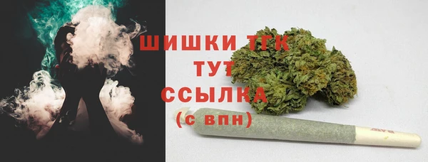 ГАЛЛЮЦИНОГЕННЫЕ ГРИБЫ Абаза