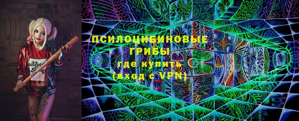 ГАЛЛЮЦИНОГЕННЫЕ ГРИБЫ Абаза