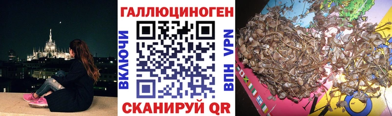 Псилоцибиновые грибы Psilocybe  Златоуст 